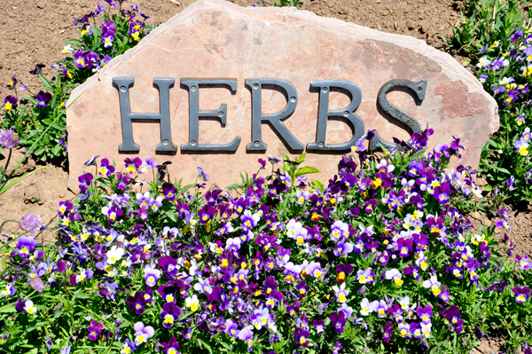 Herbs sign and flowers